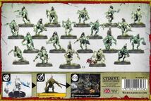 【フレッシュイーター・コート】 クリプト・グール Crypt Ghouls[91-12][WARHAMMER A.O.S]ウォーハンマー_画像2