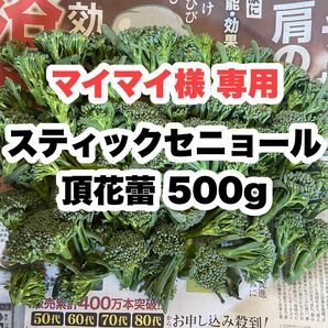 【専用★】頂花蕾 500g スティックセニョール 茎ブロッコリー 野菜jtp