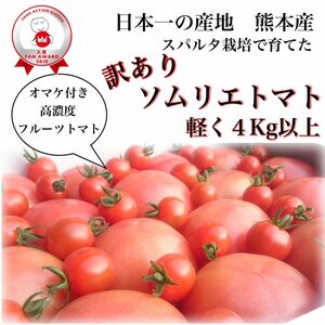 受賞歴３回！訳ありソムリエトマト4.5kgから6.5kg （16玉から32玉）2.のオマケ