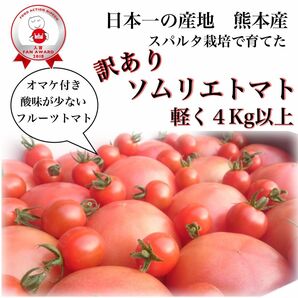 受賞歴３回！訳ありソムリエトマト4.5kgから6.5kg（16玉から32玉) 3.のオマケ