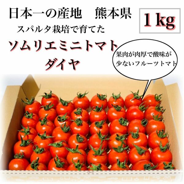 ソムリエミニトマト　ダイヤ　１kg（６０玉〜９０玉）