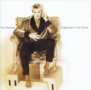 《A SPANNER IN THE WORKS》(1995)【1CD】∥ROD STEWART∥∩