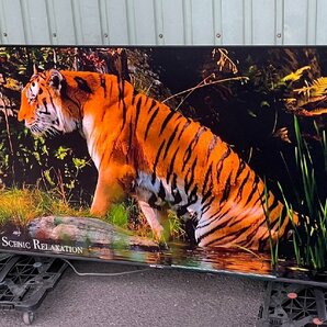 DMM.make 4K DISPLAY 65型 DKS-4K65DG4 美品 1166の画像4