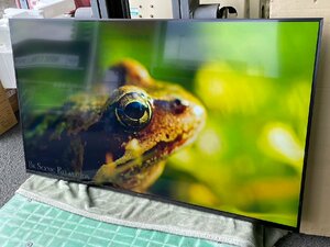 パナソニック 液晶テレビ VIERA(ビエラ) TH-75JX950 [75V型/Bluetooth対応/4K対応/BS・CS 4Kチューナー内蔵/YouTube対応] 2021年製造 美品