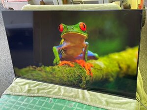 パナソニック 液晶テレビ VIERA 65V型 TH-65JX950 2021年製 美品 288