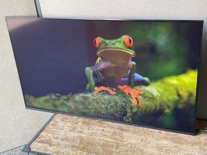 Panasonic VIERA TH-55LX950 テレビ パナソニック 55V型 2022年製造 美訳あり品