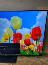 パナソニック 液晶テレビ VIERA(ビエラ) TH-65LX950 [65V型 /4K対応 /BS・CS 4Kチューナー内蔵] 2022年製造 美訳あり品_画像5