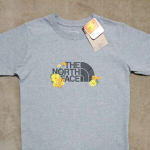 THE NORTH FACE 半袖TシャツＭ