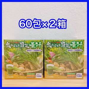 飲みごたえ野菜青汁 120包 (3g×60包×2箱) エバーライフ