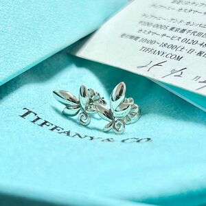 ティファニー　オリーブ　リーフ　ピアス　Tiffany シルバー　両耳　美品　保証書　付属品