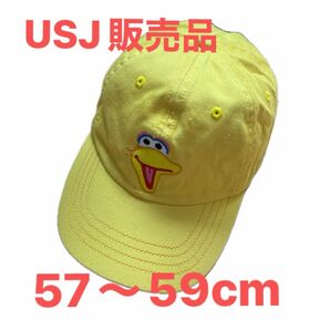 USJ購入品　ビッグバード　キャップ