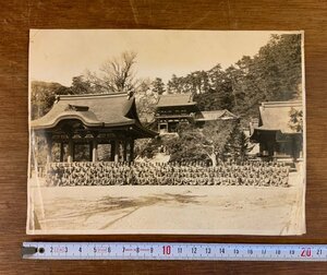 LL-7660 ■送料込■ 集合写真 鶴岡八幡宮 陸軍 軍隊 軍人 ミリタリー 旧日本軍 写真 古写真 古書 印刷物 神奈川県 神社 戦前 レトロ/くYUら