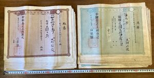 BB-8986■送料込■地券 土地 土地所有権 証書 大日本帝国政府 資料 歴史 古書 古文書 山梨県 明治 印刷物 ●25枚まとめて/くOKら