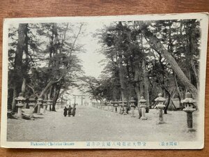 VV-2257 ■送料込■ 福岡県 官幣大社箱崎八幡宮 筥崎宮 汐井道 女性 鳥居 風景 神社 宗教 寺 道 絵葉書 古葉書 写真 古写真/くNAら/くJYら