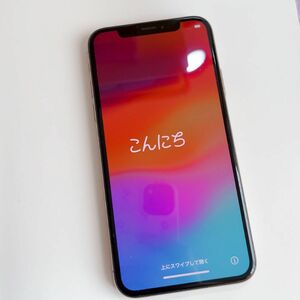 iPhone Xs Gold 256 GB Softbank 箱・アダプタあり