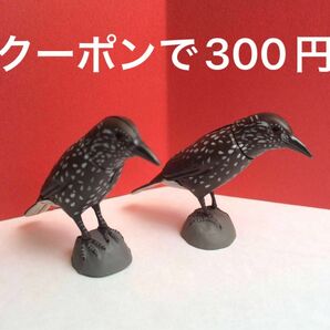 チョコエッグ 日本の動物シリーズ ホシガラス　カラス　からす　フィギュア2羽セット