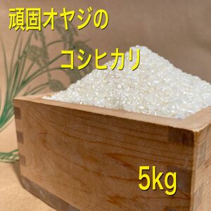 新米　令和5年度産　頑固オヤジのコシヒカリ近江米5kg(滋賀湖北・減農薬)