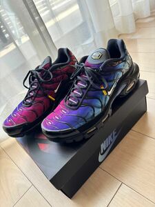 【完売品】 NIKE AIR MAX PLUS "25th Anniversary" 28.5㎝