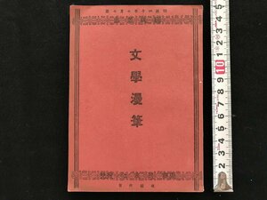 i◇*　明治期書籍　国民叢書 第13　文学漫筆　徳富猪一郎　明治40年7版　民友社　1点　書込みあり　/A12