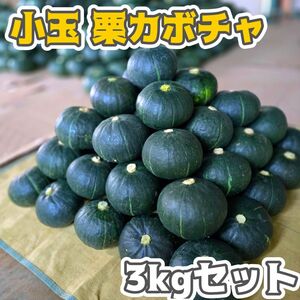 ！！期間限定GWセール中！！【石垣島産】小玉栗かぼちゃ 3キロセット 送料込