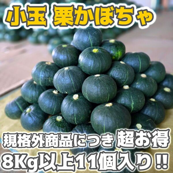 【規格外野菜で超お得】石垣島産 小玉栗かぼちゃ8キロ以上【11個入り】送料込