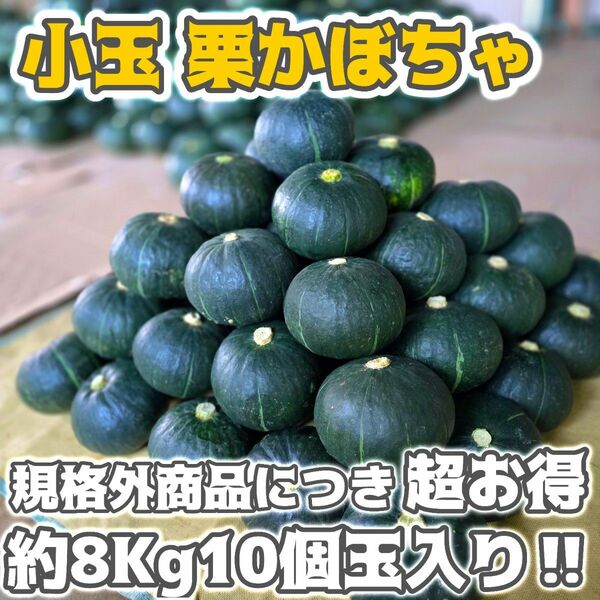 今期ラスト1点【規格外で超お得】石垣島産 小玉栗かぼちゃ約8kg【10玉】送料込