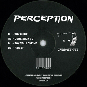 Fumiya Tanaka Play！　DJ Perception - BLUFF007 UKガラージ　Say What