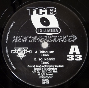 Troy Brown - New Dimensions EP 90sハウス