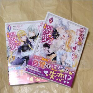 断罪されている悪役令嬢と入れ替わって婚約者たちをぶっ飛ばしたら、溺愛が待っていました　1〜2