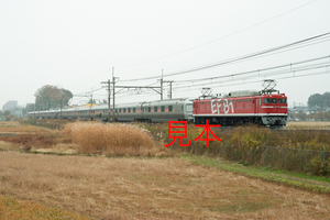 鉄道写真データ（JPEG）、00927835、EF81-95＋カシオペア（ハンドル訓練）（雨天）、JR東北本線、蓮田〜東大宮、2017.11.30、（7360×4912