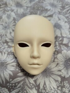  Super Dollfie Gr man main .. length head only 