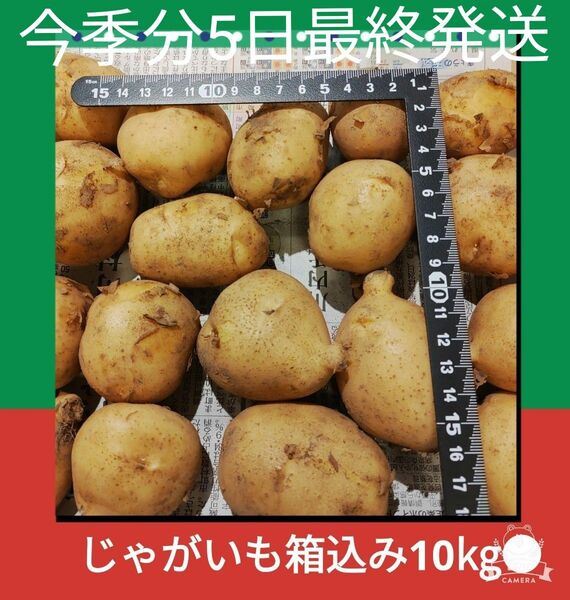 じゃがいも箱込み10kg訳あり野菜