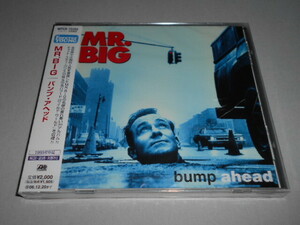 新品）MR.BIG／パンプ・ア・ヘッド