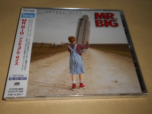 新品）MR.BIG／アクチュアル・サイズ