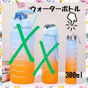 ウォーターボトル　300ml 韓国　アウトドア　カラフル　ミニ　タンブラー　水筒