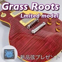 Grass Roots Lmited model / グラスルーツ　リミテッドモデル　レスポール　ギグバッグ付き　ESP　エレキギター　虎杢_画像1