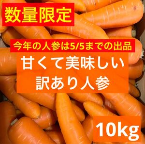 徳島県産 人参 10kg 訳あり にんじん 産地直送 規格外 ハウス栽培