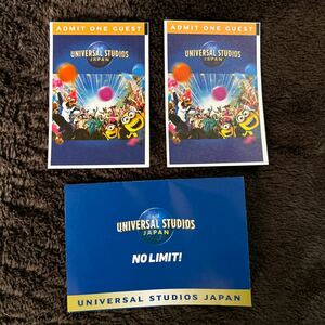 送料無料　ユニバーサルスタジオジャパン USJ チケット パートナーフリーパス　2枚　2024/6/30