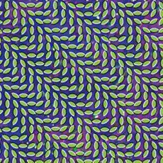 Merriweather Post Pavilion 輸入盤 レンタル落ち 中古 CD