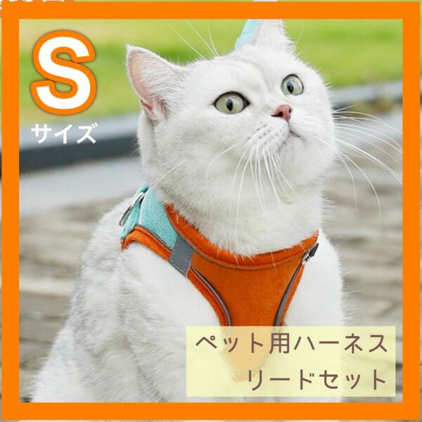 新品【Sサイズ】リード付き ハーネス 犬 猫 散歩 簡単装着 水色＋オレンジ