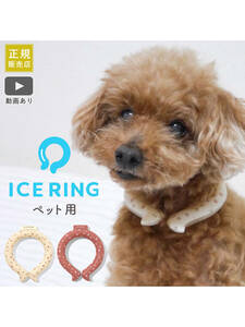 犬用/小型犬/中型犬【ICE RING suo アイスリング/高機能ネッククーラー/SS/XS/レッド】クールリングクールネックお散歩熱中症対策暑さ対策