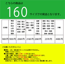 黒田製作所 コウケントー 1号器 光線治療器 集光器等欠品あり 1993年製 動作品 中古_画像7