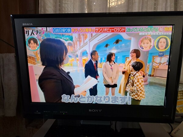 ソニーBRAVIA液晶テレビKDL－19j5