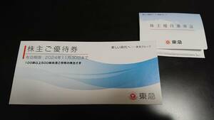 東急 株主優待乗車証 ２枚 2024年11月30日まで