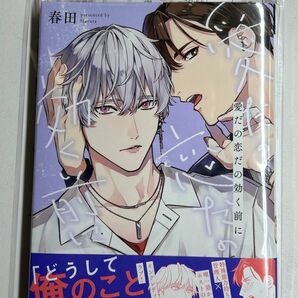 愛だの恋だの効く前に (書籍) [新書館] 新品未読品！