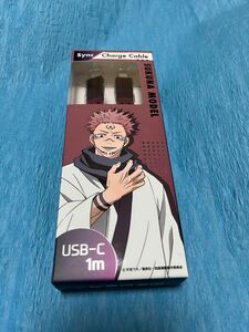 呪術廻戦 USB-C ケーブル 1m 宿儺(すくな)モデル