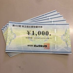 ビックカメラ 株主優待券5,000円分