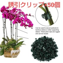 新品/植物用誘引クリップ×50個-_画像4