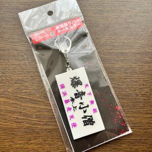 疾風伝説 特攻の拓 展 爆音小僧 族旗 キーホルダー 横浜 佐木飛朗斗 外道 朧童幽霊 魍魎 夜叉神 獏羅天