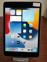 701 美品 iPad mini 第4世代, 7.9inch 2018★A8★2GB★128GB Space Gray バッテリー100％ A1550 au SIMフリー Apple タブレット_画像1